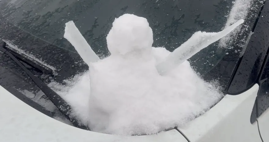 11/22迎小雪！6生肖運勢最旺　財運「擋都擋不住」