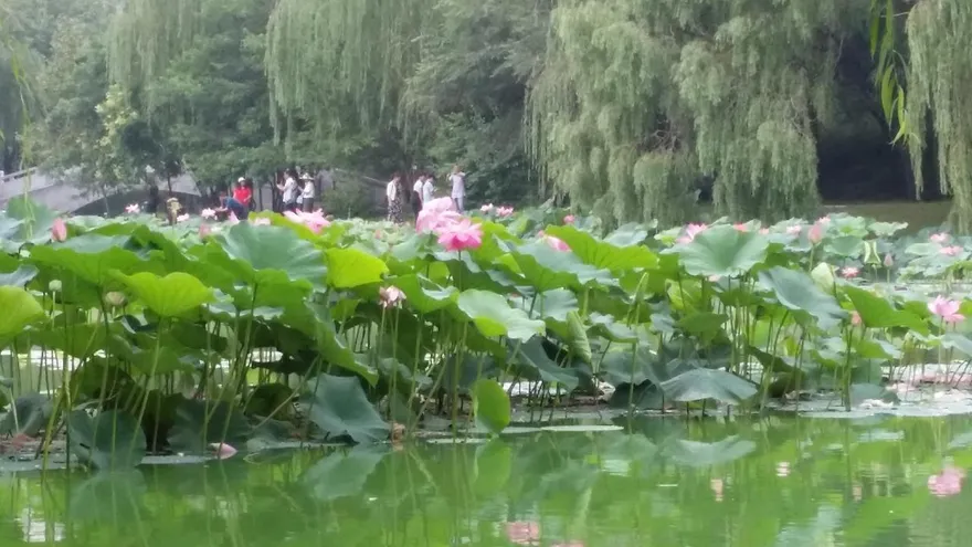 命理師提醒清明禁忌！3種水果千萬別拜　恐惹來厄運