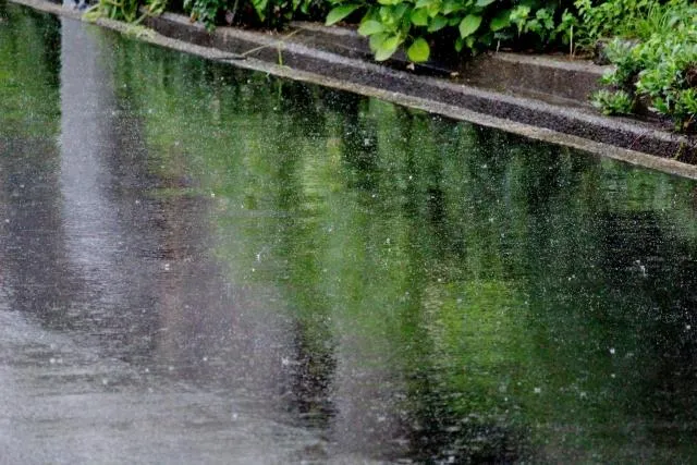 范斯高減弱為熱低壓！　「16縣市」雨彈來襲下到入夜