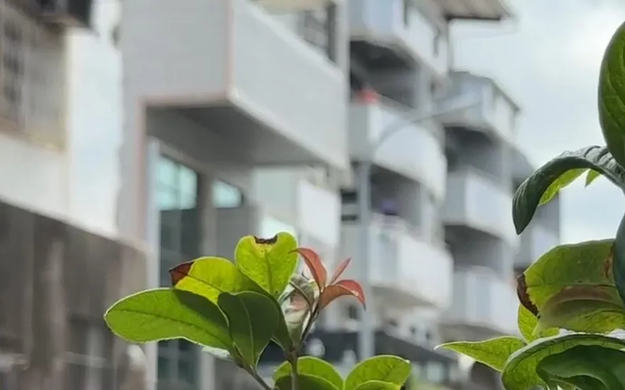 影/台南啃老男弒父！社會局協助行動不便母後續照顧