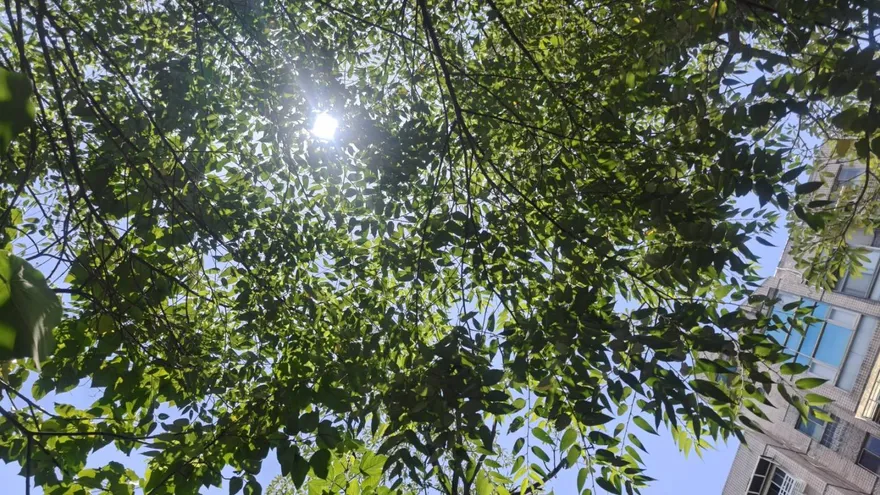 北市亮高溫紅色橙色燈號　北市府急發警示提醒預防熱傷害
