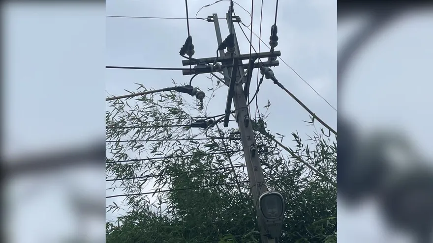 台中神岡區363戶近2小時停電！台電：竹子碰觸線路所致