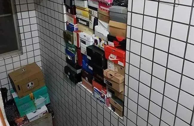紙箱是蟑螂最愛的家！專家曝「凝膠餌劑」最有效：連帶滅族