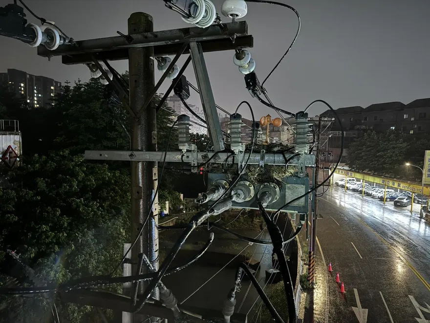 八德人注意！鳥類築巢釀4300戶停電　台電：已全面復電