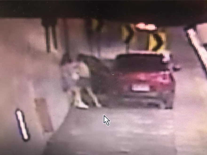 影/手機遭丟出車外！雪隧母女停車互毆打　女兒聲請保護令