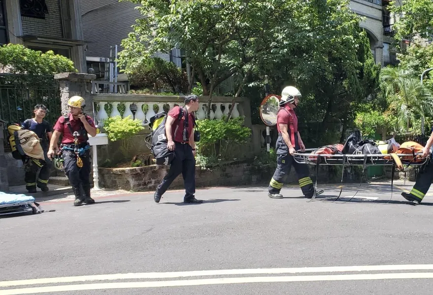 北市捕蜂工卡樹上不治　動保處：強化作業安全啟動勞檢