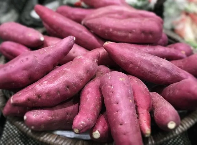 地瓜發芽能吃嗎？營養師揭3色功效與禁忌　2族群慎食