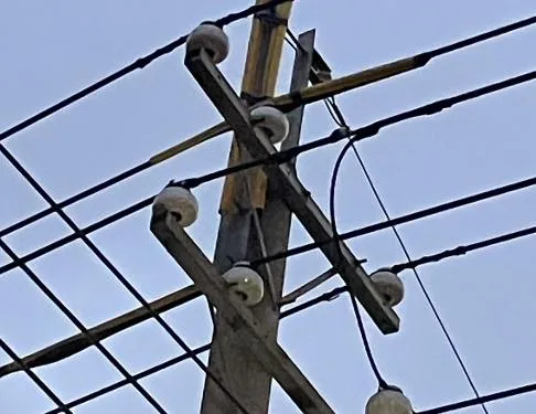 鳥觸及高壓線！台中三區521戶傍晚停電　台電：已復電