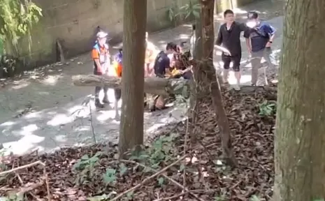 疑愛不到彩券妹就砍人！　兇嫌躲山區滅證結果三度燒燙傷