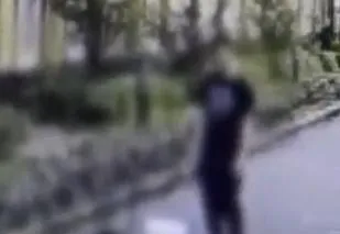 喪心病狂！陸男在幼兒園旁虐殺四貓　僅受思想教育惹公憤