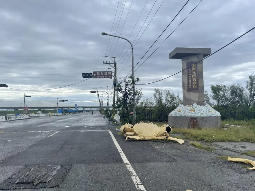 丹娜絲肆虐！台南青鯤鯓「螃蟹」掉地上