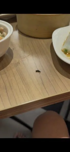 巨城三合院用餐到一半！天降老鼠屎　業者致歉了
