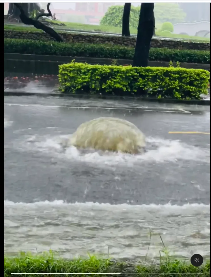 台中豪雨成災！豐樂公園路面人孔蓋漂走　驚見粗壯湧泉