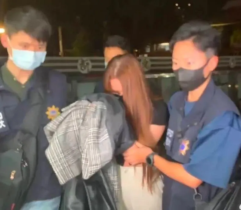 剴剴生母竟是涉3案通緝犯！「灌男友新歡喝毒酒」直播虐待全程