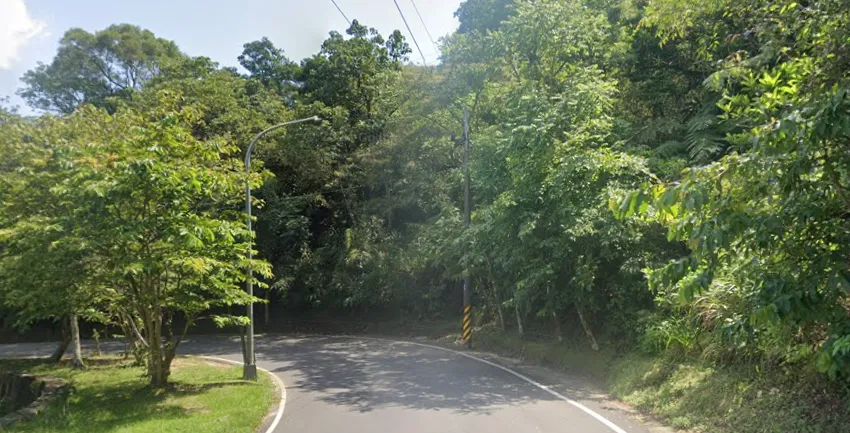 新北汐碇路樹上驚見浮腫男屍　身分為南港失蹤人口