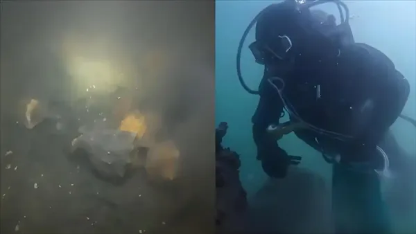 影/10年一遇！青島海螺大爆發　潛水員3小時賺近1.5萬