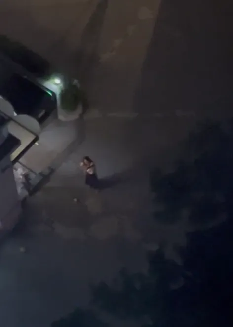 桃園女酒後與鄰爭執怒炸煙火！警上門再點一發炸警