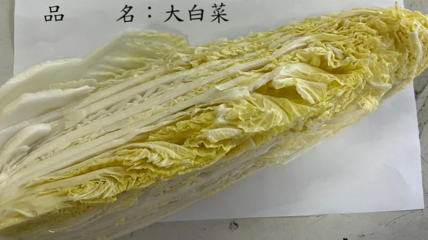 越南進口大白菜驗出農藥超標　食藥署攔截逾3.8萬公斤