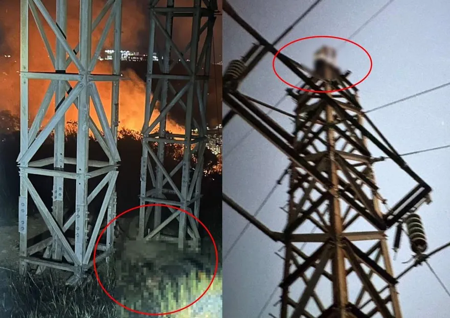 爬電塔拍夕照觸電墜落！樹林20歲男成焦屍　女友拍下「最後身影」