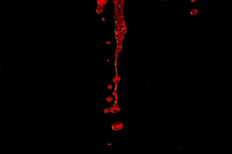史丹佛研究「一滴血揭腦齡」可預測失智風險
