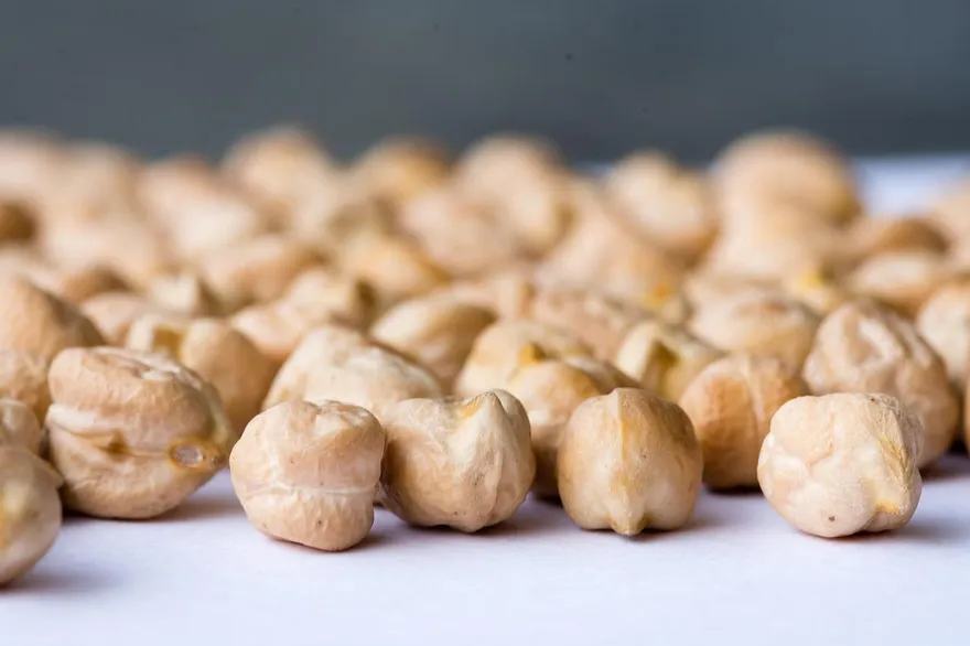 以為在吃蔬菜？鷹嘴豆澱粉量驚人　醫：比地瓜高2.7倍