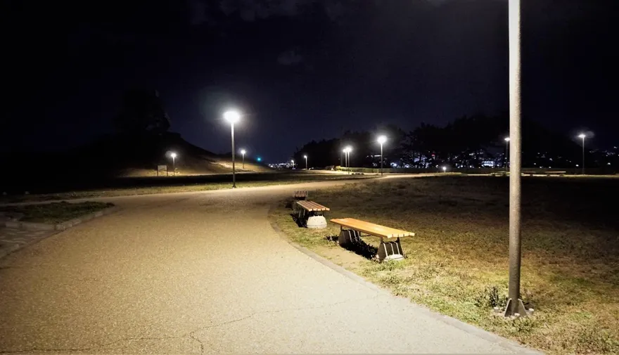 假冒國安人員「接管」公園...近20名陸男深夜組團挖寶下場曝