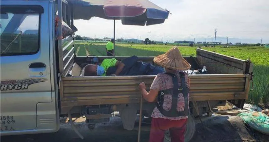 蔥價飆天價！82歲老農父子徹夜守田　賊徒竟帶望遠鏡徘徊
