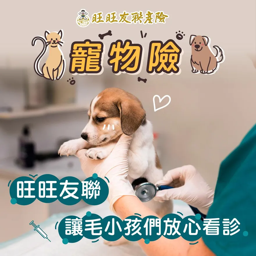 為毛小孩投保寵物險　保障門診、住院和手術費用
