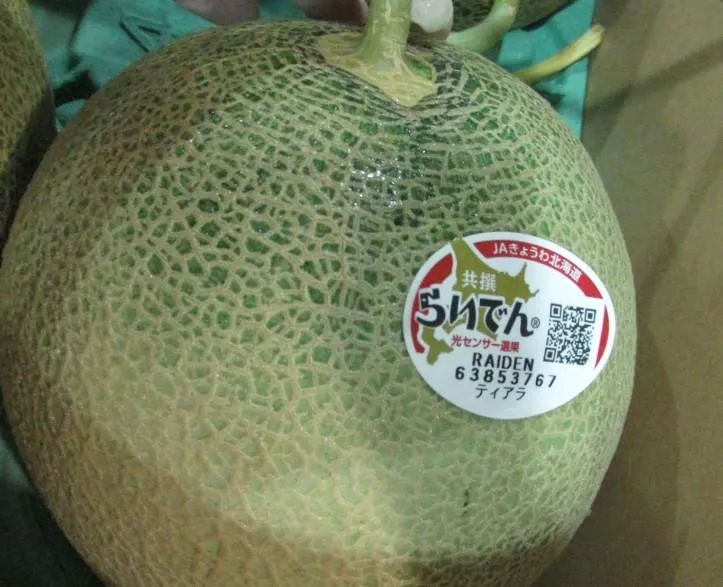 日本鮮蜜瓜驗出禁用農藥　台灣美耐皿餐具不合格全數退運