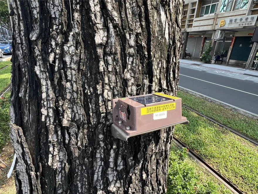備戰強颱樺加沙！　高雄輕軌設AI監測路樹災情