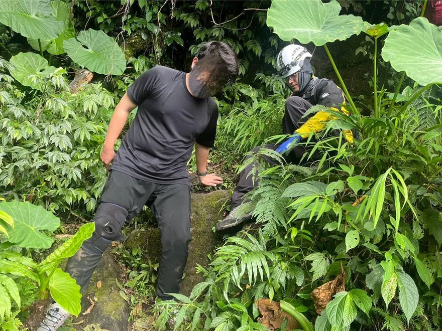 影/台師大學生慘遭虎頭蜂群圍攻！2人緊急送醫