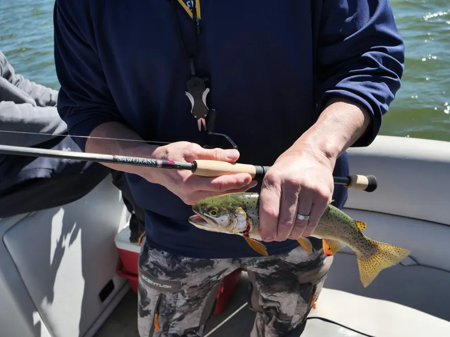 密西根湖驚見受詛咒「婚戒魚」　釣起後船上連環怪事不斷