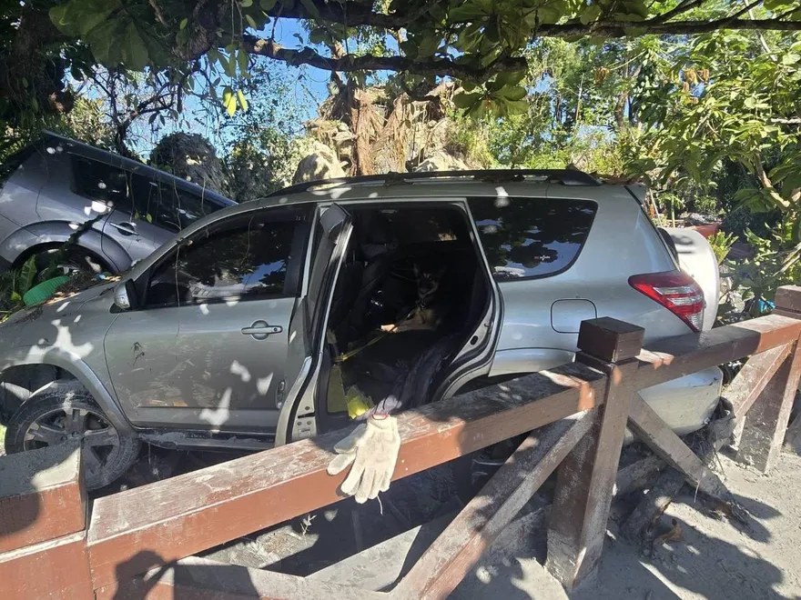 影/花蓮光復千坪民宿近全毀！受困轎車9天小狗奇蹟獲救
