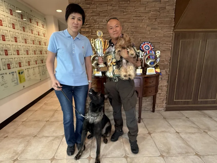 訓犬比賽屢創佳績！「西北訓犬學苑」成冠軍犬培訓基地