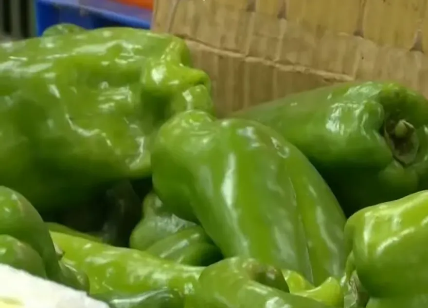 中秋烤肉需求增！青椒漲至每斤約130元　4撇步挑完美食材