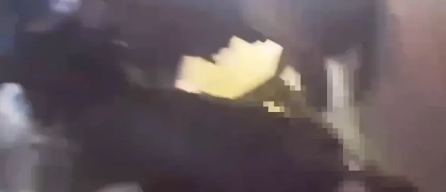 影/花博廁所外徘徊酒醉男不滿被勸離　持美工刀刺傷保全
