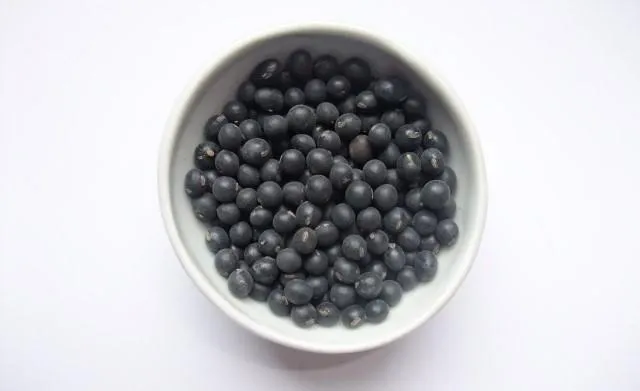 黑豆漿取代部分肉類？實驗驗證：不只補蛋白還能養好菌