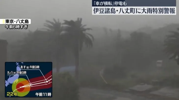 颱風哈隆強襲日本八丈島　強風暴雨造成樹倒路斷、多處停電