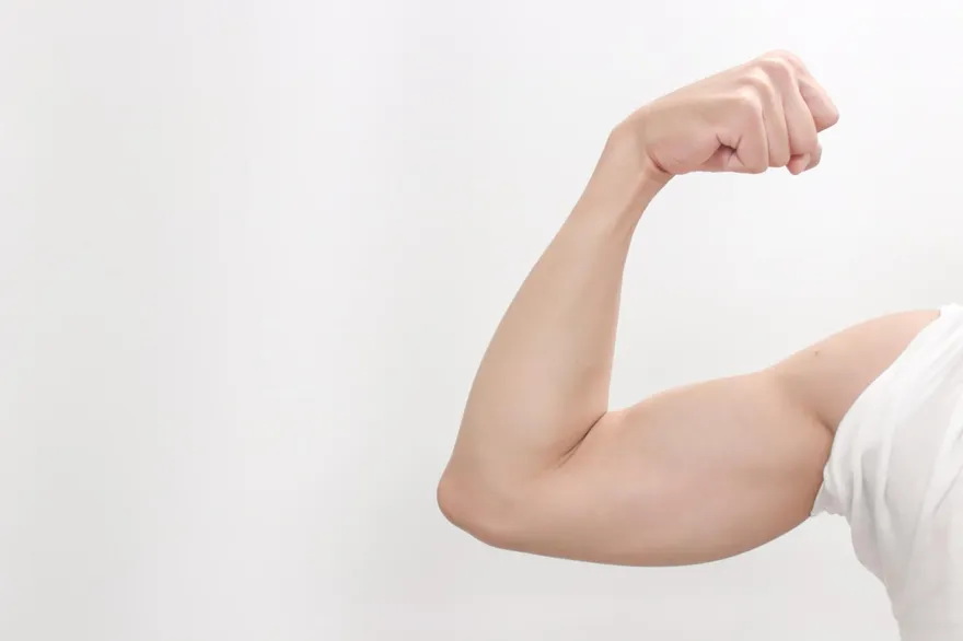 日本首支許可「筋肉量維持」益生菌　補充12週肌肉量增0.5kg以上