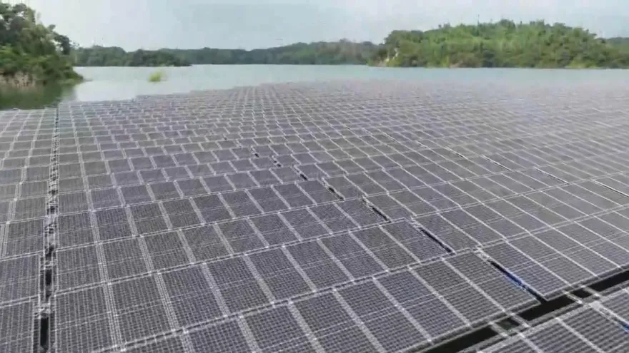 立院通過光電三法　業者憂變「慘業」掀倒閉潮：至少倒一半