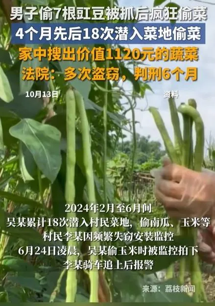 當開心農場？陸男多次「偷菜」遭判6個月、罰金4300