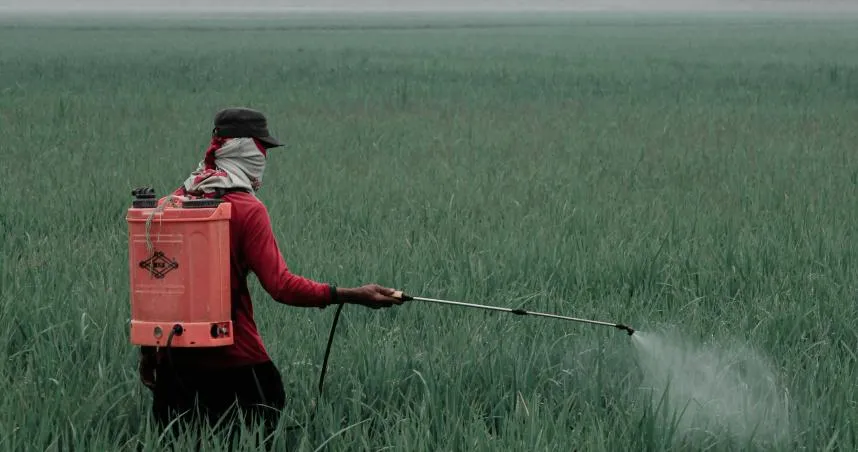 殺蟲劑成分「甲氧滴滴涕」列禁用　環境部揭對人體影響