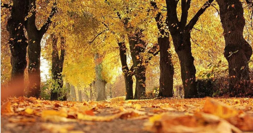 終於要變天了！鄭明典預告週末「冷舌現蹤」　東北季風帶來今年首波明顯降溫