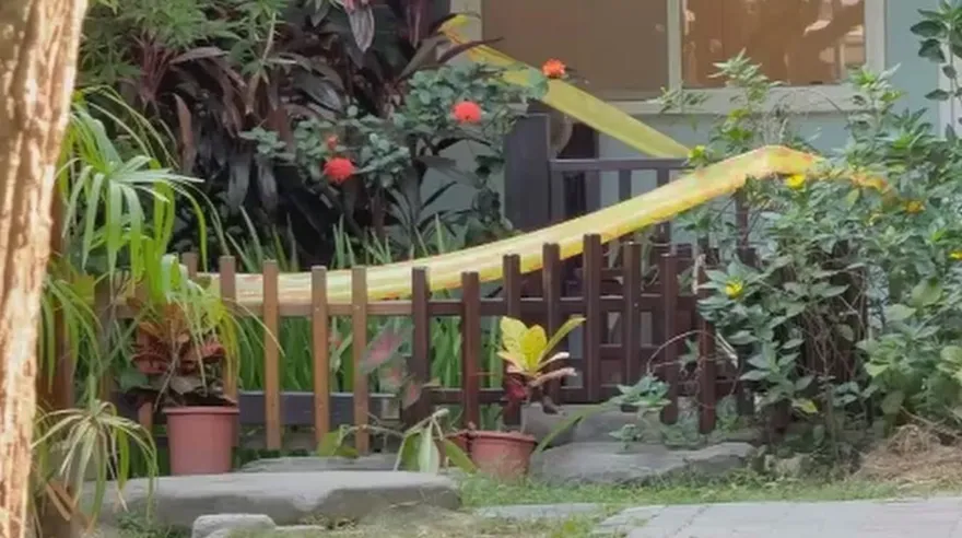 竹北托嬰中心1歲半女童溺斃20公分深生態池　檢介入調查