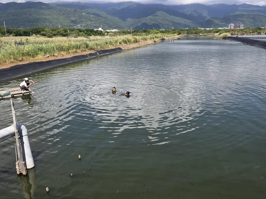 幫親戚捕魚失聯！宜蘭7旬翁跌落魚塭　救起成冰冷遺體