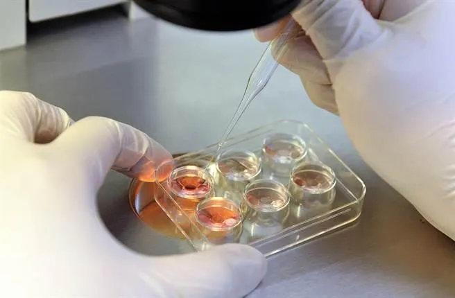 補助上路！35歲前凍卵成功率高2倍、費用省4成