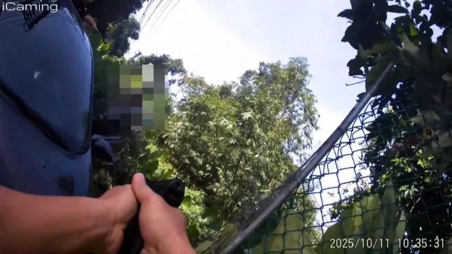 影/北市通緝男拒檢開車衝撞　見警拔槍秒舉手投降