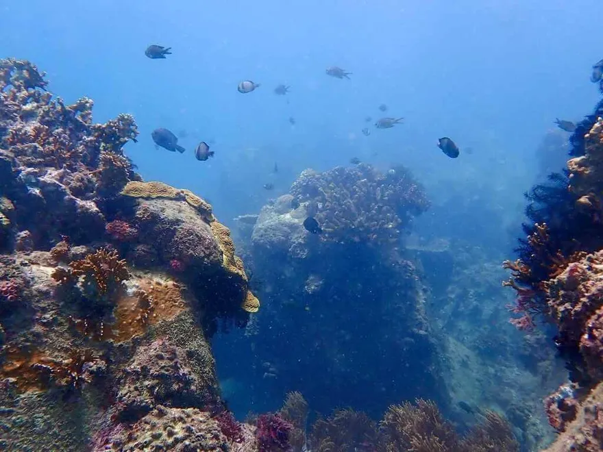 南灣「陰陽海」誰之過？傳涉光電板　墾管處：颱風豪雨影響