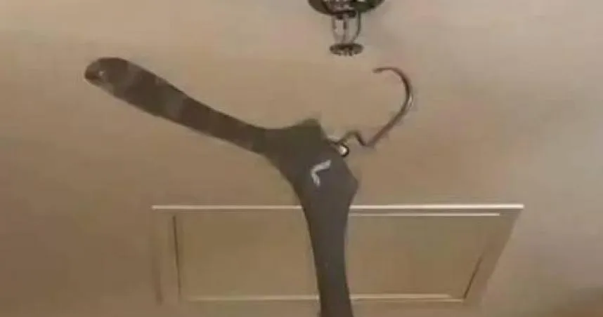 陸旅客飯店隨手一掛！啟動噴淋系統釀淹水　遭求償68萬