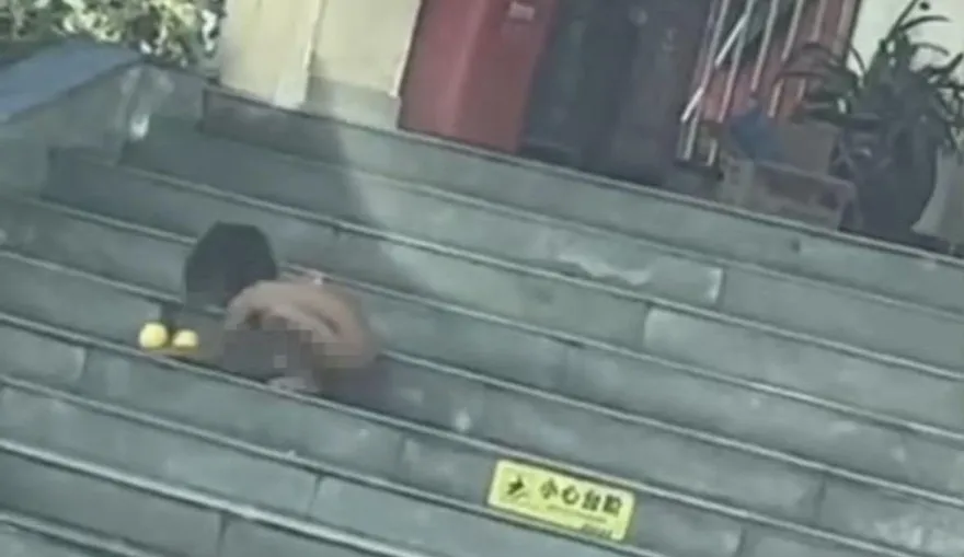 影/陸「野人小孩」最新情況！父母高學歷、稱自然教養外人無權干涉